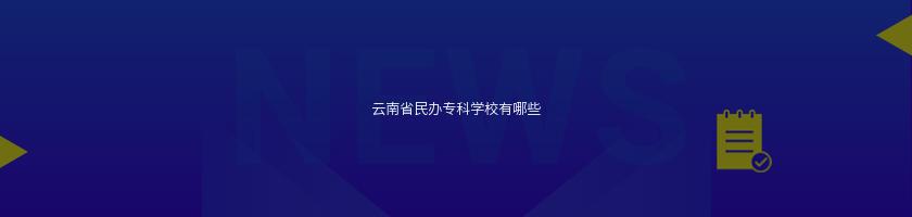 云南省民办专科学校有哪些